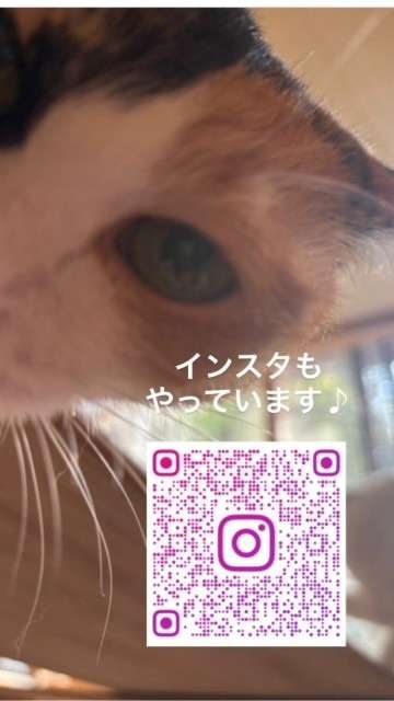 インスタグラムもやっています