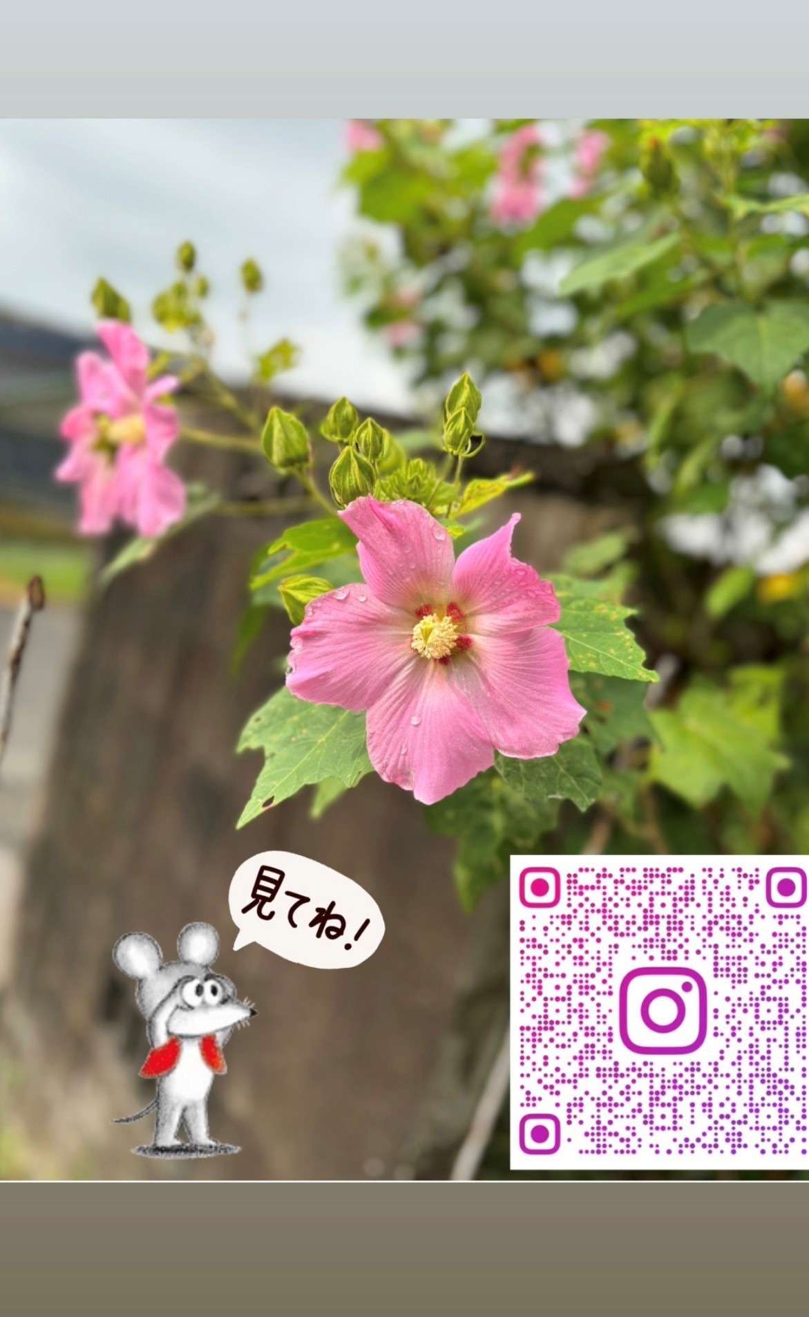 インスタ見てね😺