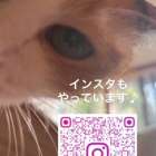 インスタグラムもやっています