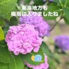 外部のメンテナンスは大切です⚠