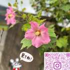 インスタ見てね😺